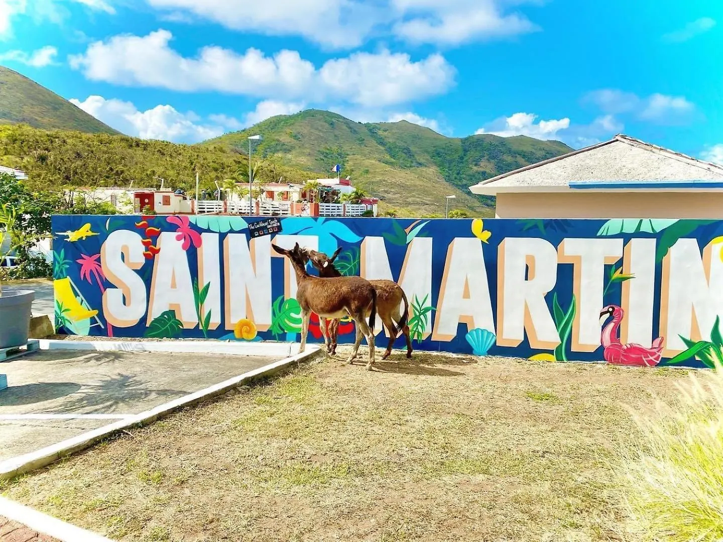 Studio Pirate Of The Caribbean Sea View Marigot  0*, Marigot (Saint Martin) Sint Maarten/Saint Martin