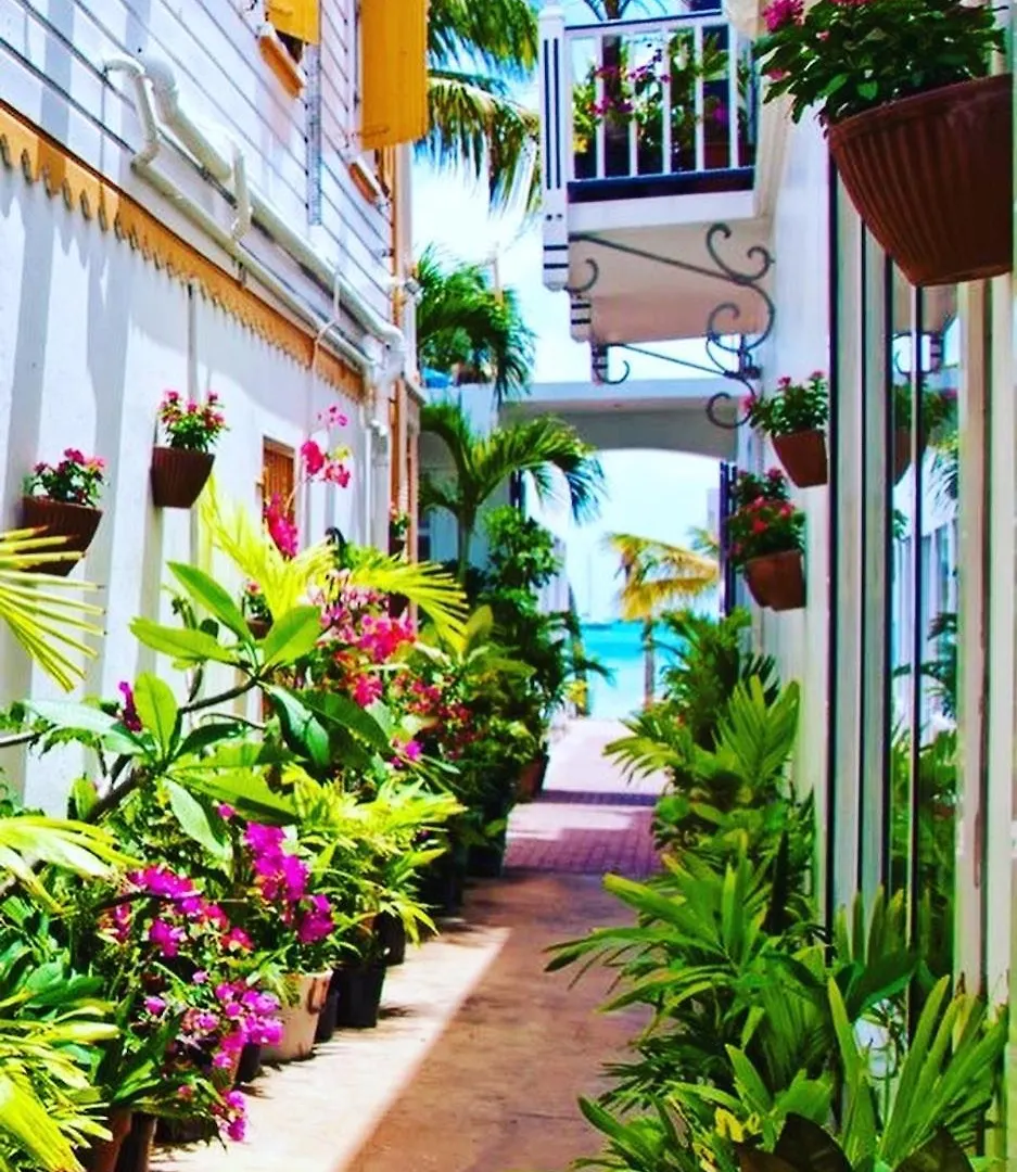 Studio Pirate Of The Caribbean Sea View Marigot